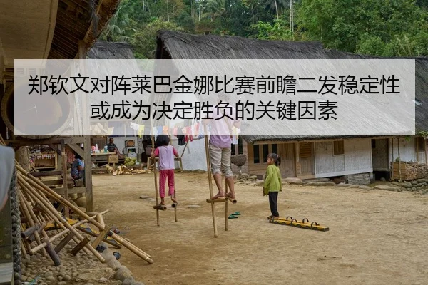 郑钦文对阵莱巴金娜比赛前瞻二发稳定性或成为决定胜负的关键因素（Panda Sports）