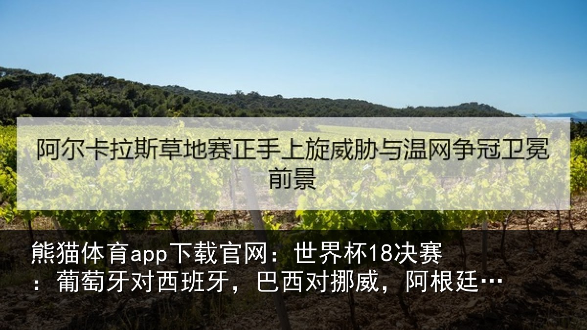 熊猫体育app下载官网：世界杯18决赛：葡萄牙对西班牙，巴西对挪威，阿根廷对埃及